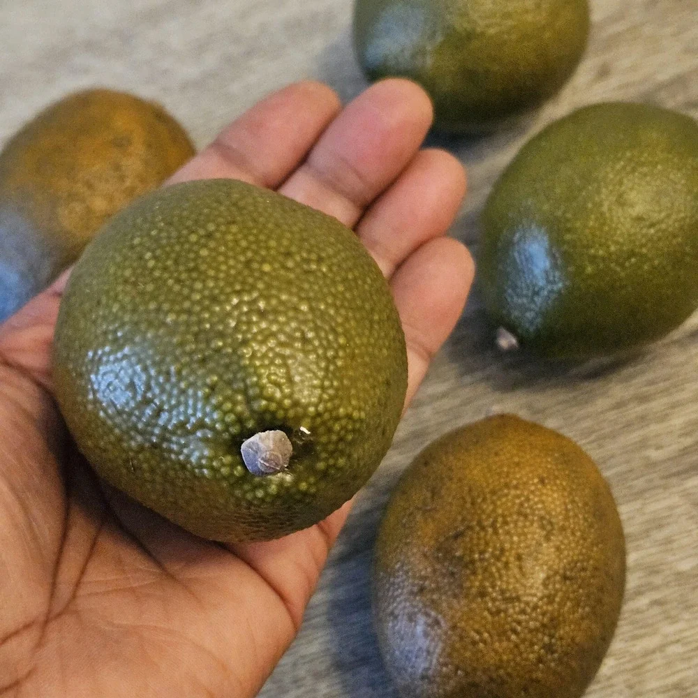 Vintage Artificial Realistic Large Prop Limes Life Size Faux Fruit‎ Lot 6 Fake